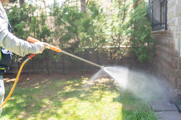 Best Flea Control Services  in Lake Jackson, TX