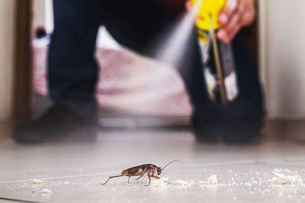 Best Commercial Pest Control Services  in Lake Jackson, TX